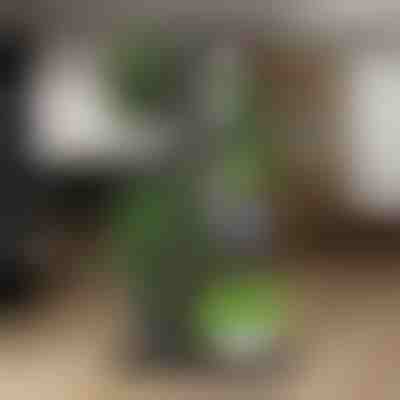 Növénytartó állvány | POTSTAGE