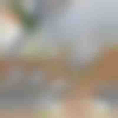 Multifunkcionális zöldségszeletelő | SLICEIEST (4 Penge INGYENES)