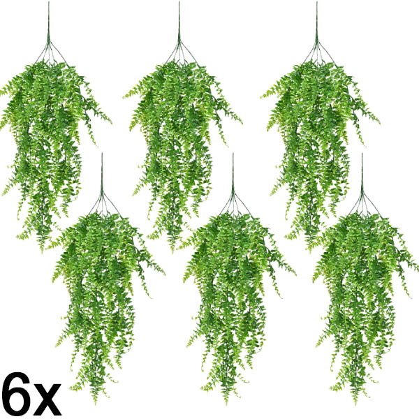6x Műnövény, függő páfrány (80 cm) | FERNY