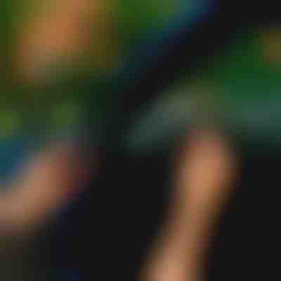 Autóajtó tömítőszalag (5m) | EVOSEAL