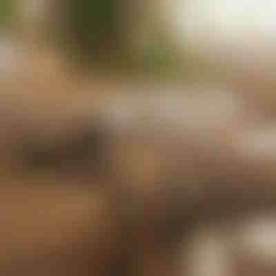 Mágneses öntapadós kábelrendező | CABLIP